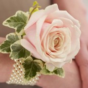 Soft Pink Rose & Pearl Wrist Corsage